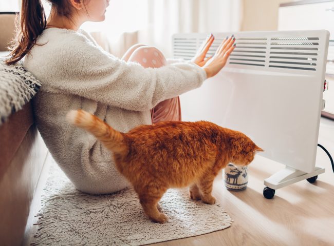 Using heater at home in winter. Woman warming her hands sitting by device with cat and wearing warm clothes. Heating season.