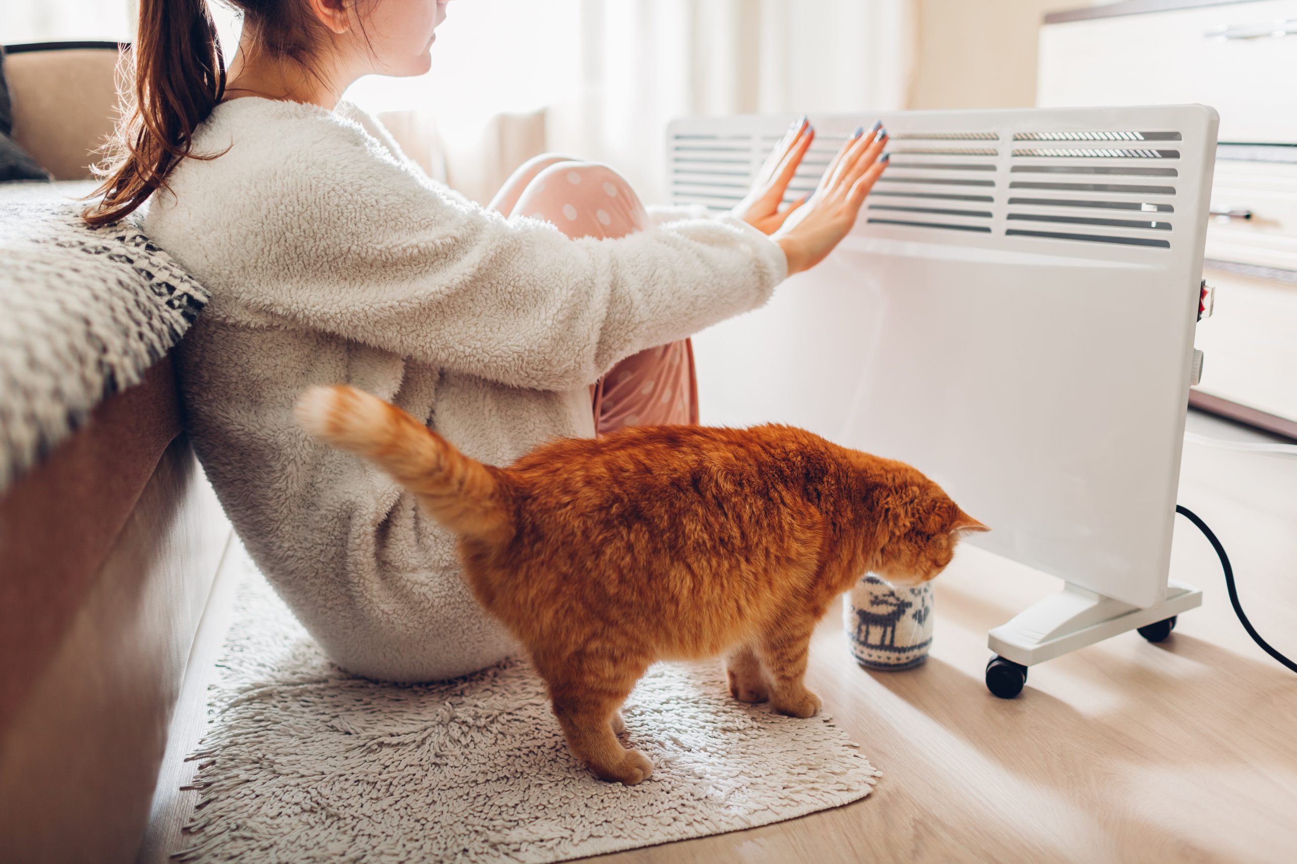 Turn up the heat: Your guide to the perfect heater this winter