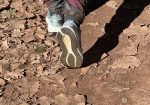 TESTED Salomon Aero Glide 4 GRVL: The Goldilocks shoe that got everything just right