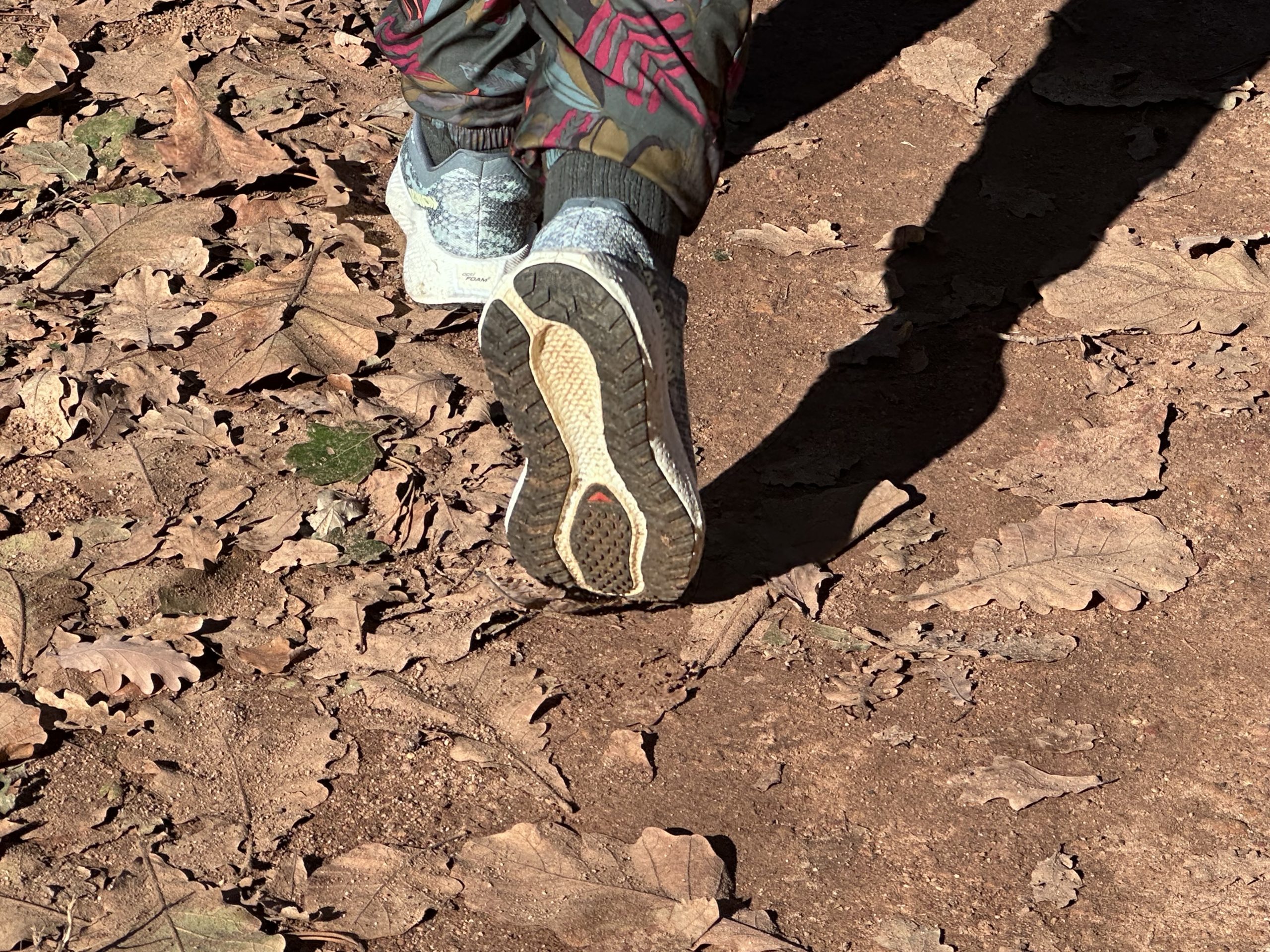 TESTED Salomon Aero Glide 4 GRVL: The Goldilocks shoe that got everything just right
