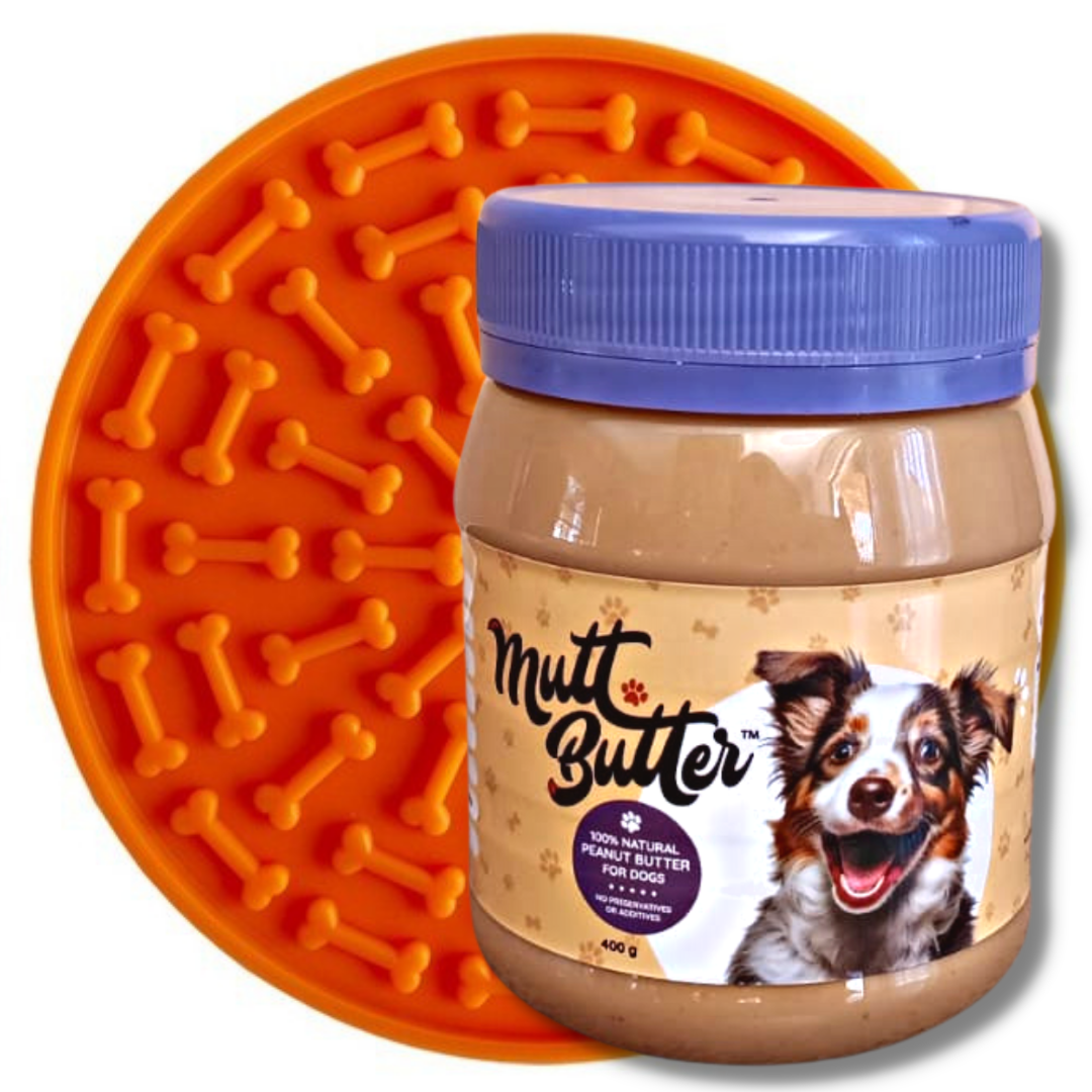 Your dog is not naughty – He’s just bored, and this inexpensive tool can fix it