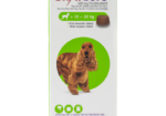 Ticks and fleas are killing your pets – and are dangerous for your family