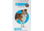 Ticks and fleas are killing your pets – and are dangerous for your family