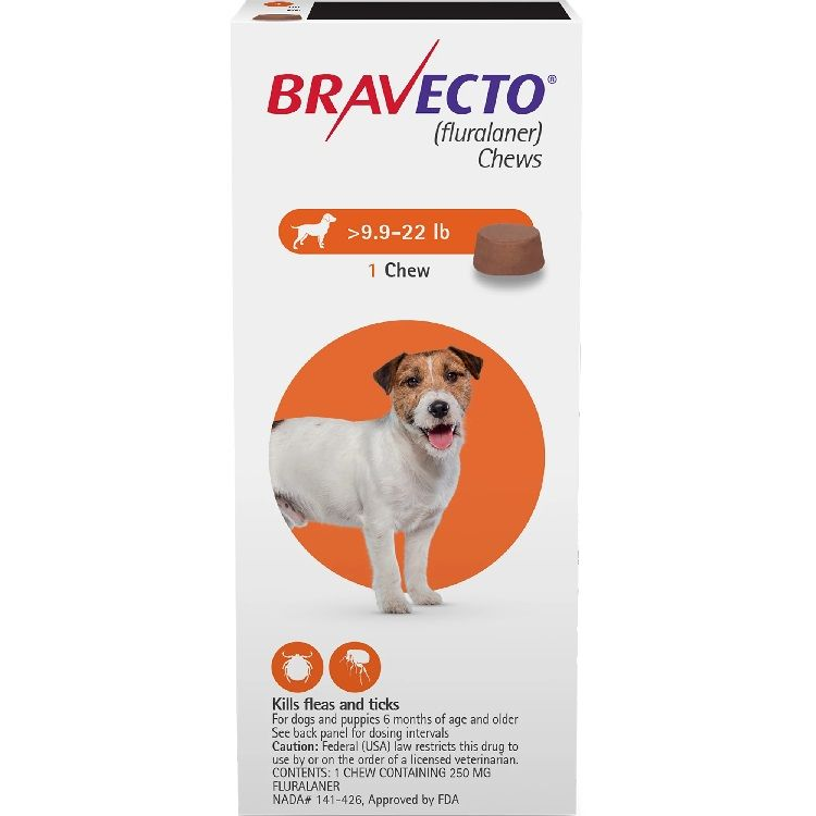 Ticks and fleas are killing your pets – and are dangerous for your family
