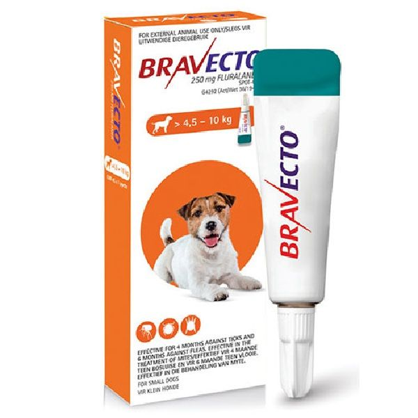 Ticks and fleas are killing your pets – and are dangerous for your family