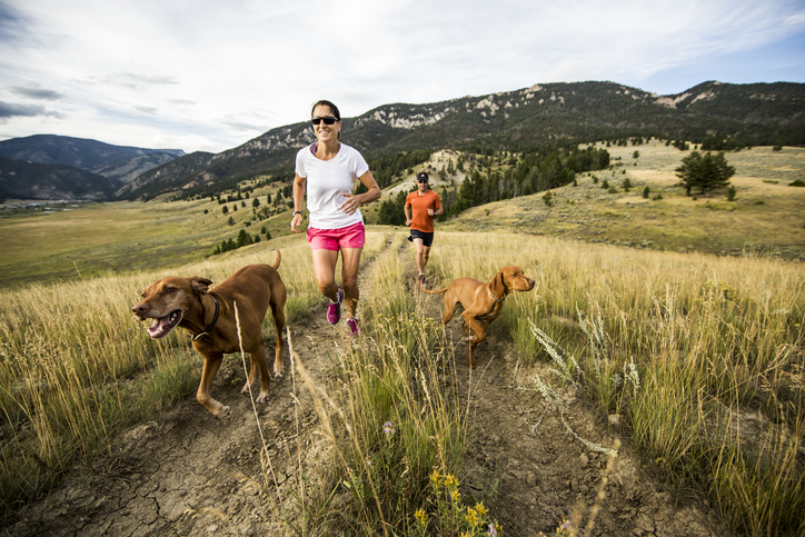 Looking for a running buddy? These 6 Types of Dogs are BEST