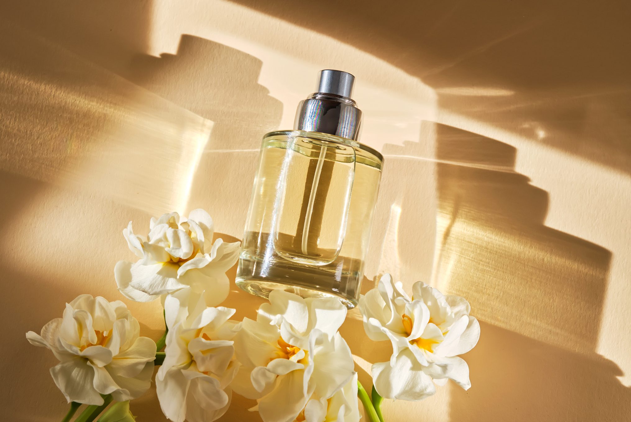9 Autumn-Ready Fragrances with Serious Staying Power