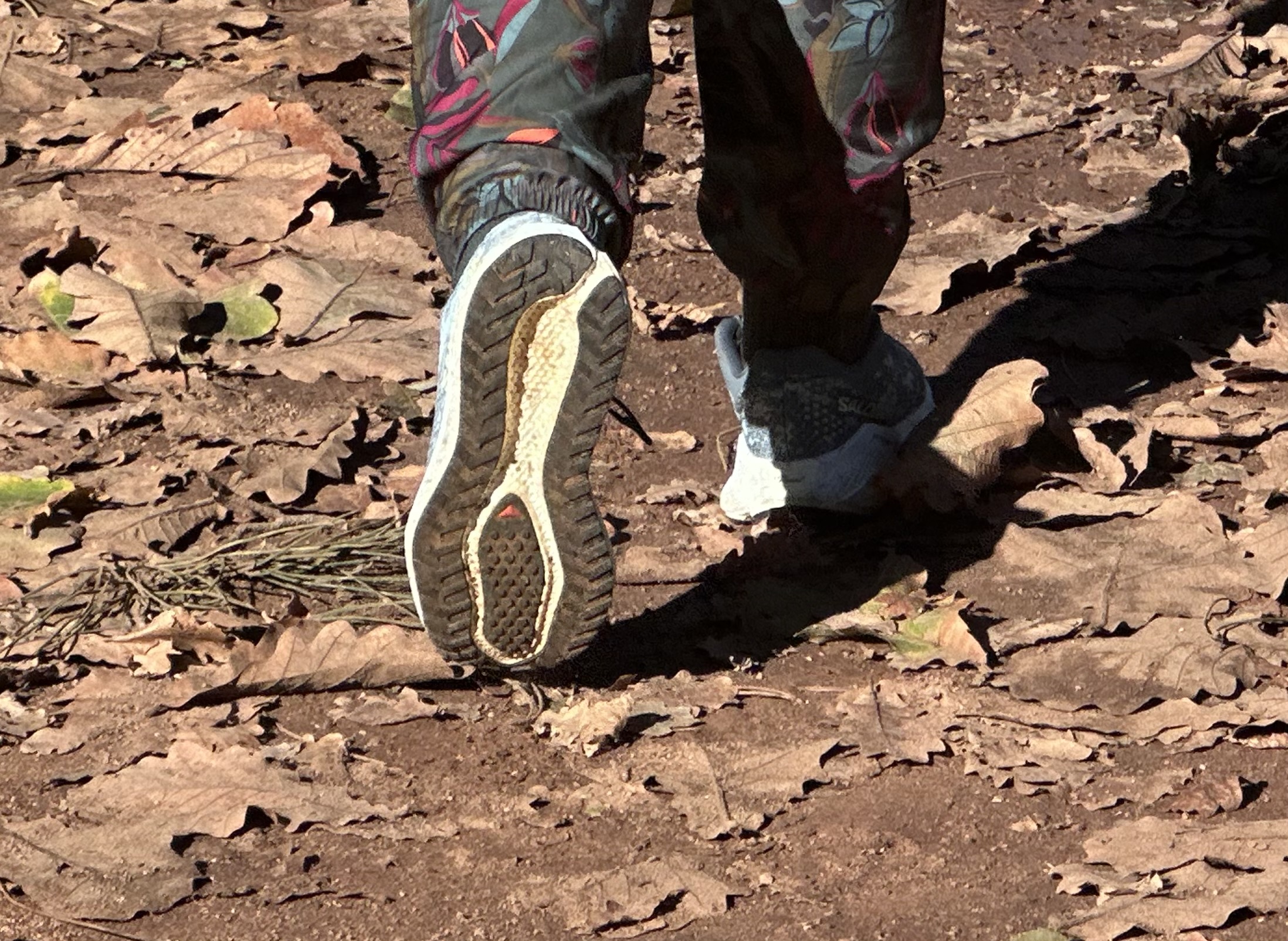 TESTED Salomon Aero Glide 4 GRVL: The Goldilocks shoe that got everything just right