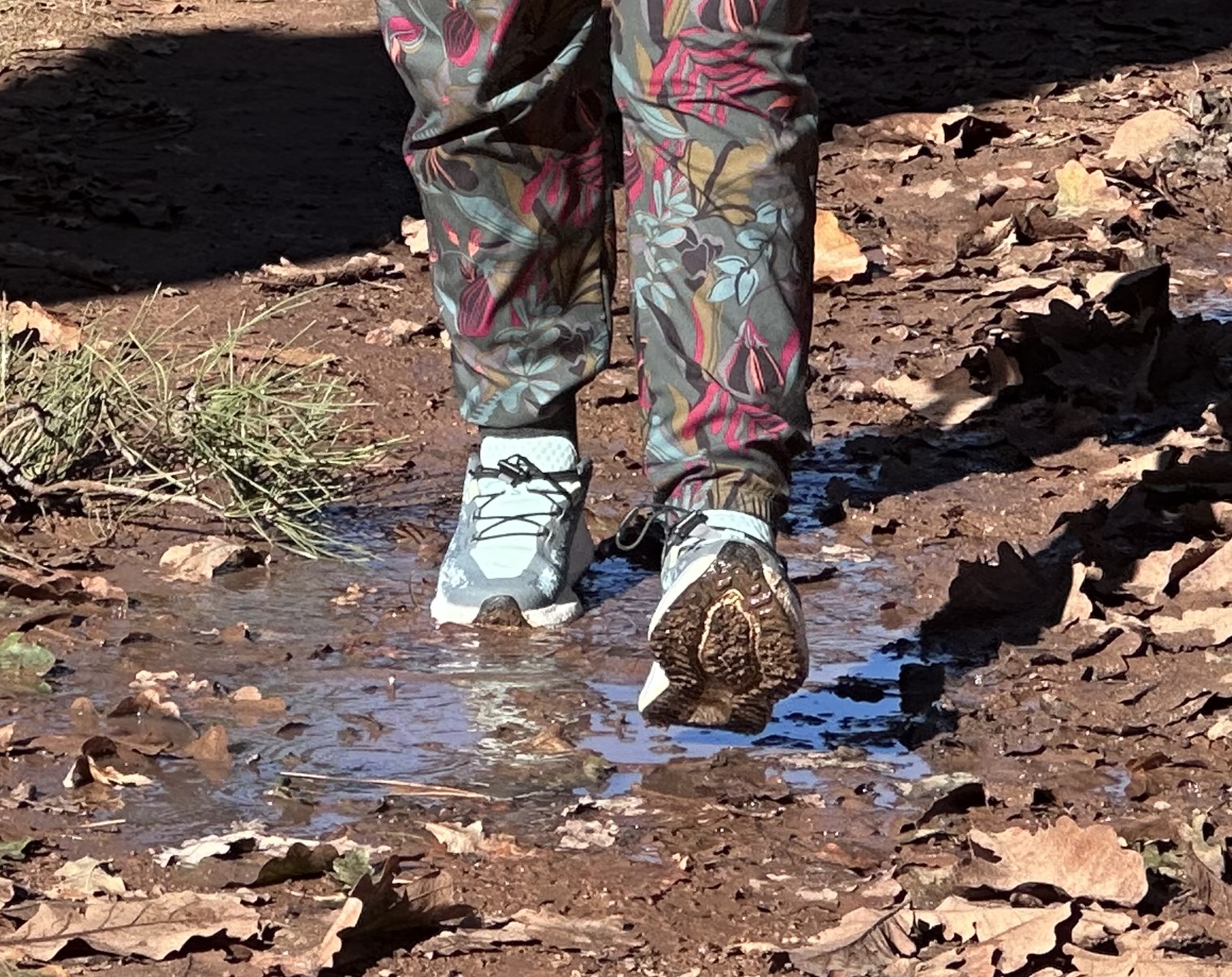 TESTED Salomon Aero Glide 4 GRVL: The Goldilocks shoe that got everything just right