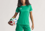 Charging the pitch: Inside the World Cup’s radically redesigned smart ball