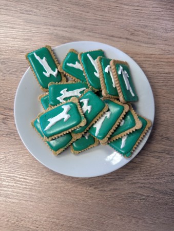 The Ultimate Heritage Day Teammates: Iced Zoo Meets the Springboks